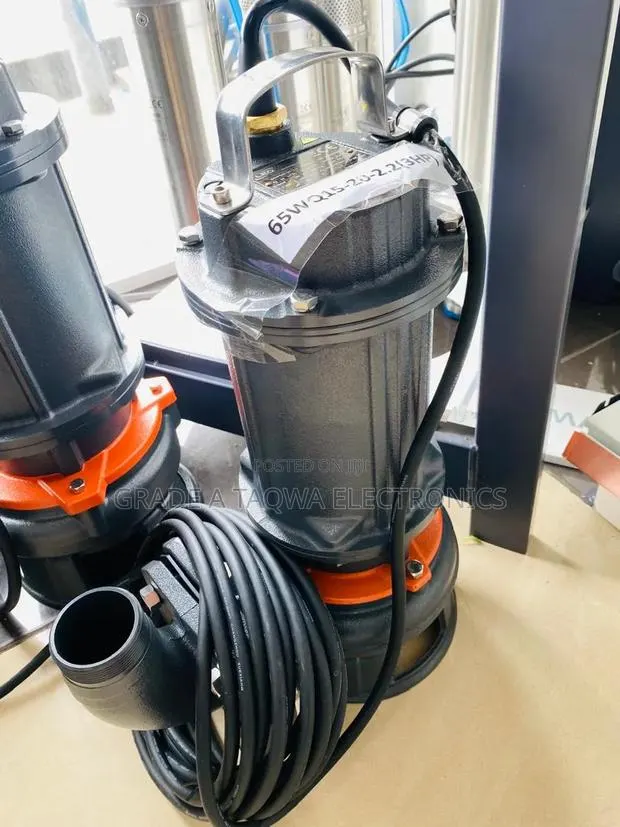 Leo 3 Horsepower Sewage Water Pump · Photo 1