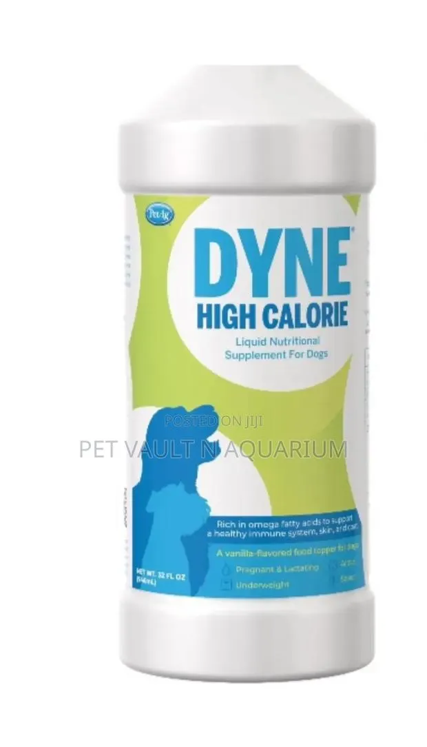 Dyne High Calorie Supplement · Photo 1