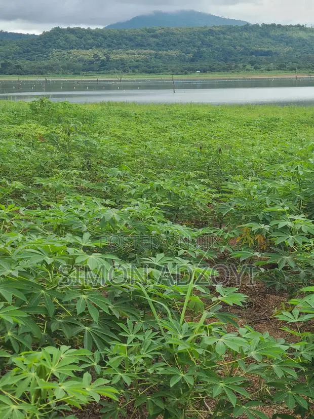 Registered 30,000 Acres of Farme Land Close to Water · Photo 1
