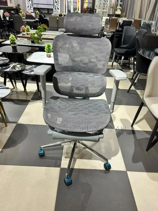 Executive Ergonomic Swivel Chair · Photo 1