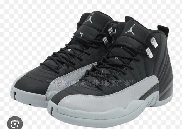 Jordan 12 Black and Ash · Photo 1