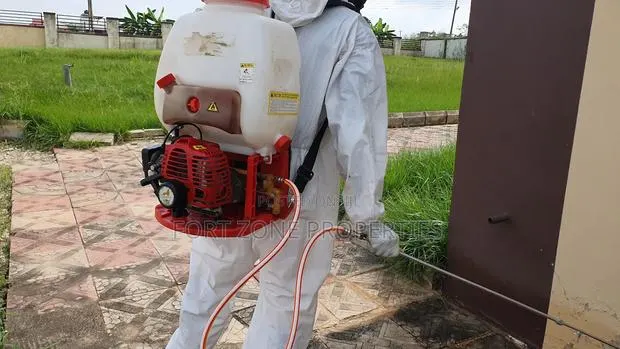 Free Your Home From Insect Now · Photo 1