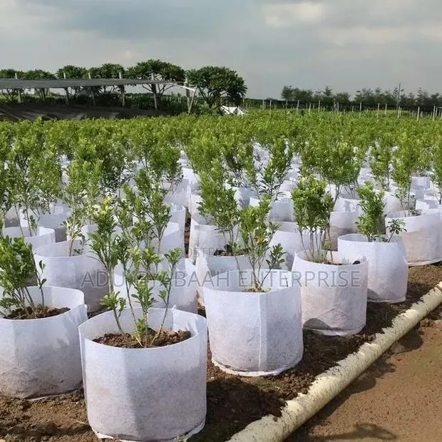 Non-Woven Fabric Grower/Planting Bags 25x20cm · Photo 1