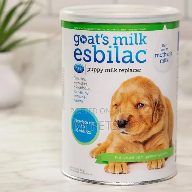 Goatmilk Esbilac Powder · Photo 1