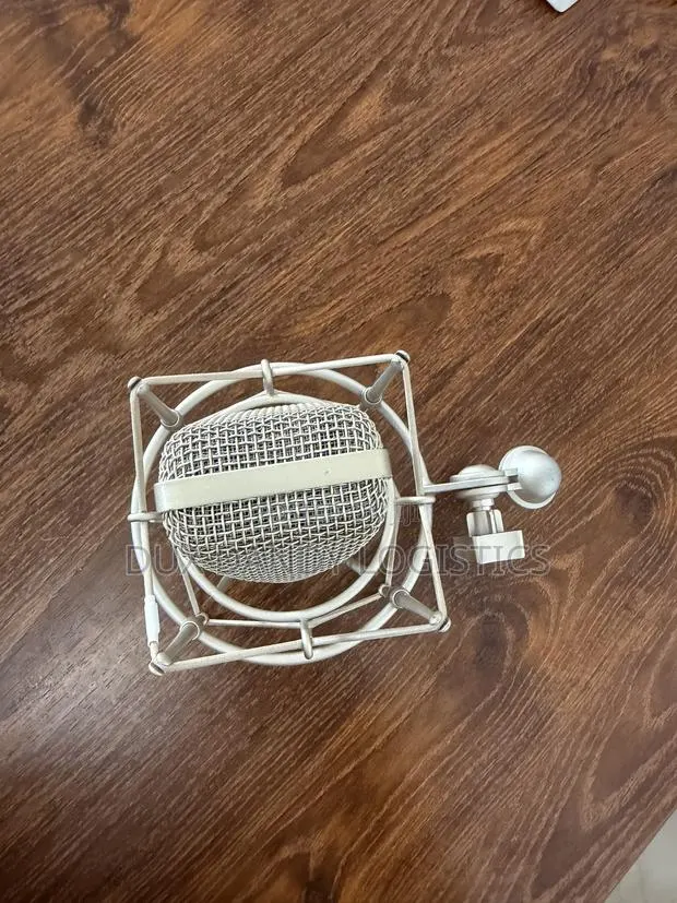 Studio Microphone · Photo 2
