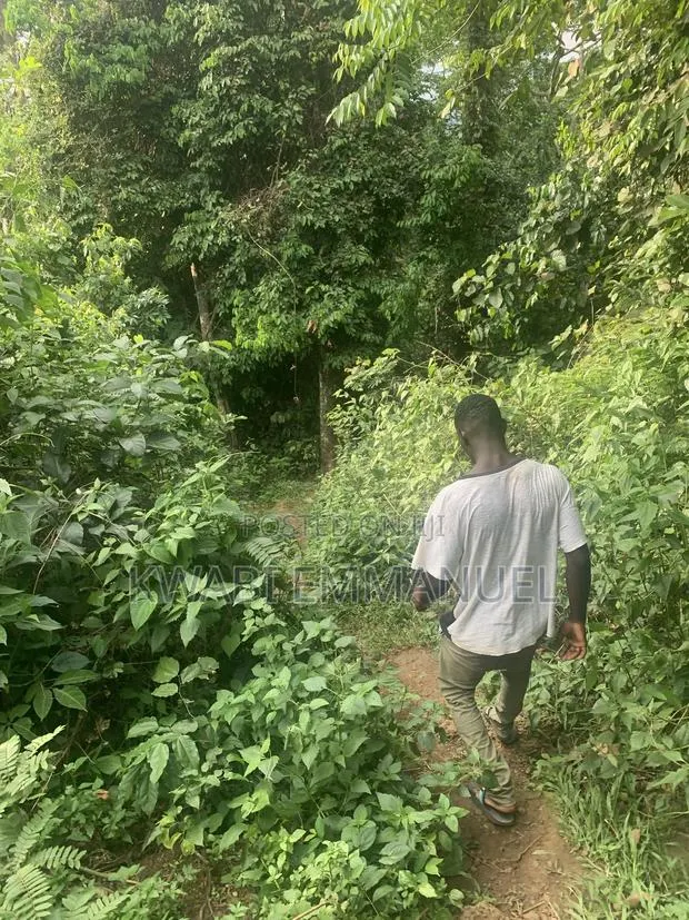 Land for Sale at Abuakwa Road Asampanay3 · Photo 1