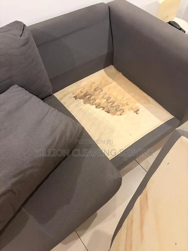 Sofa Cleaning Boss · Photo 1