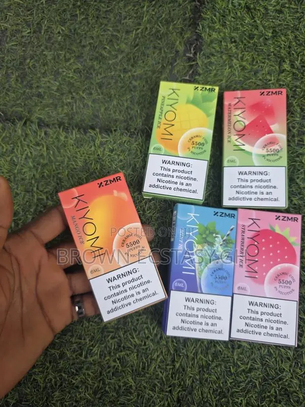 Disposable Vape 5500 Puffs · Photo 1