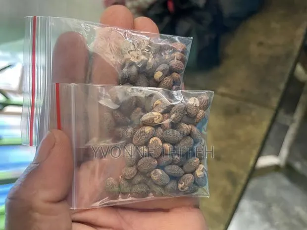 Miracle Seed 45pcs · Photo 1