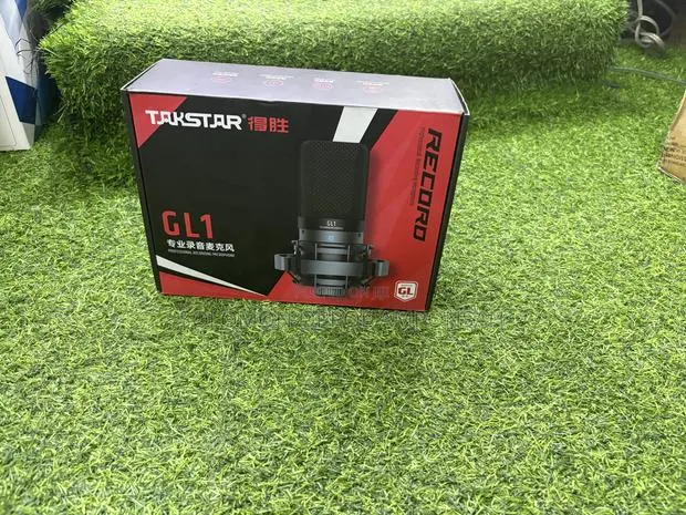 Takstar GL1 Professional Recording Condenser Microphone · Photo 1