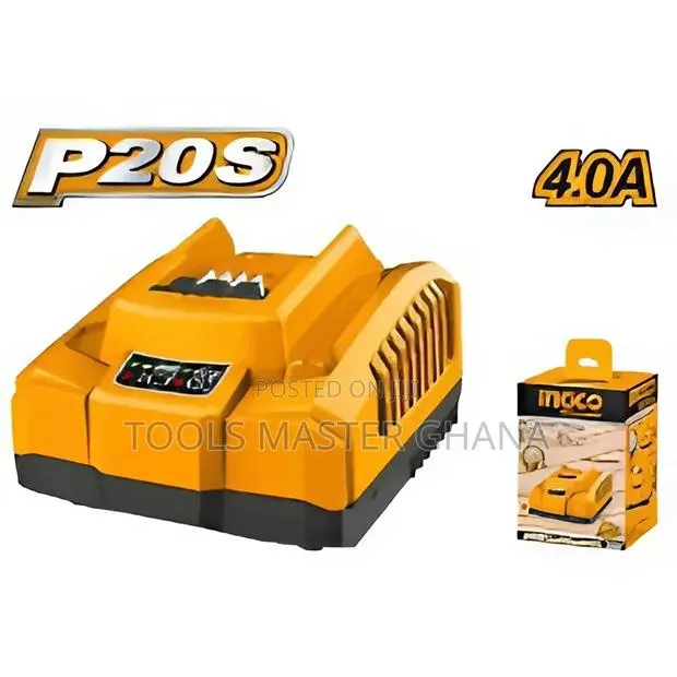 P20s Battery Charger - Fcli20411 · Photo 1