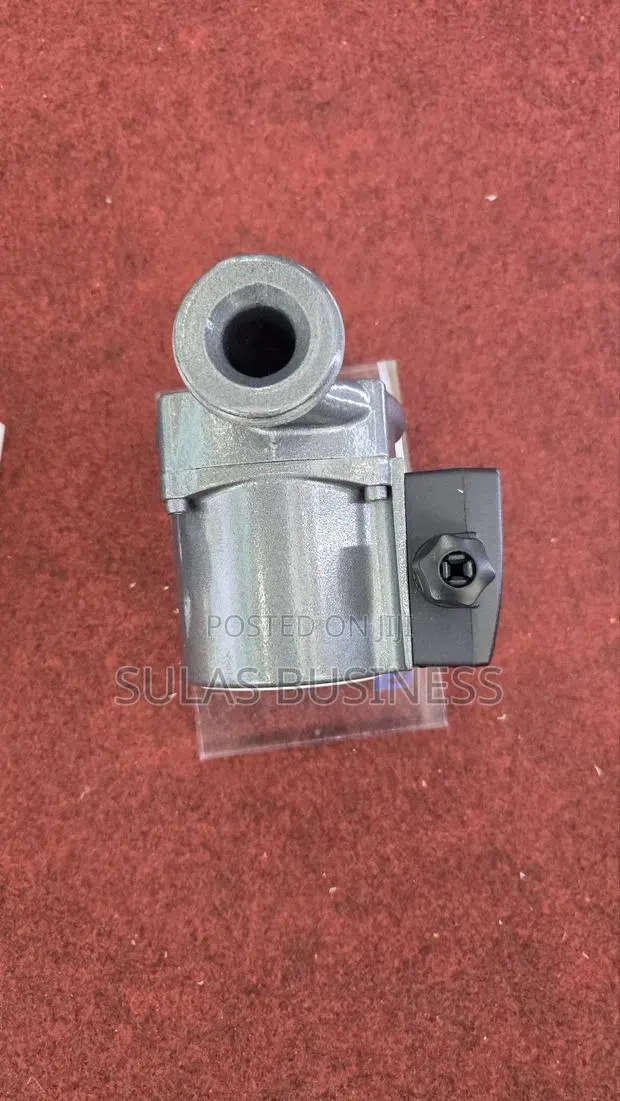 Circulation Pump, or Hot Water Pump · Photo 1