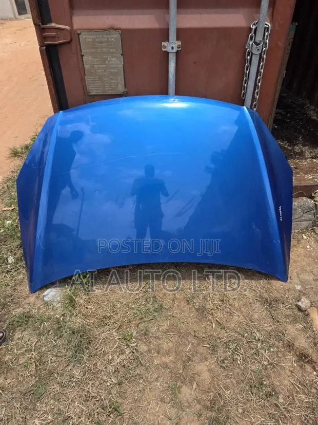 Hyundai Elantra Bonnet · Photo 1