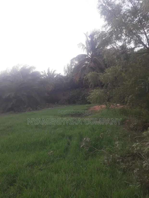 Full Plot of Land for Sale · Photo 2