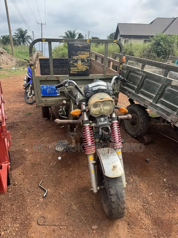 Haojin Tricycle 2022 Green