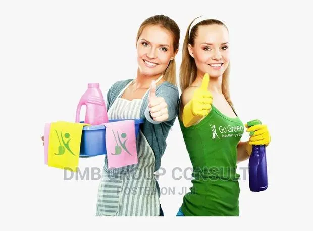 Professional Cleaners · Photo 1
