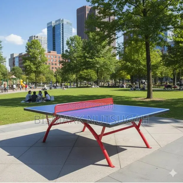 Outdoor Table Tennis for Sale · Photo 1