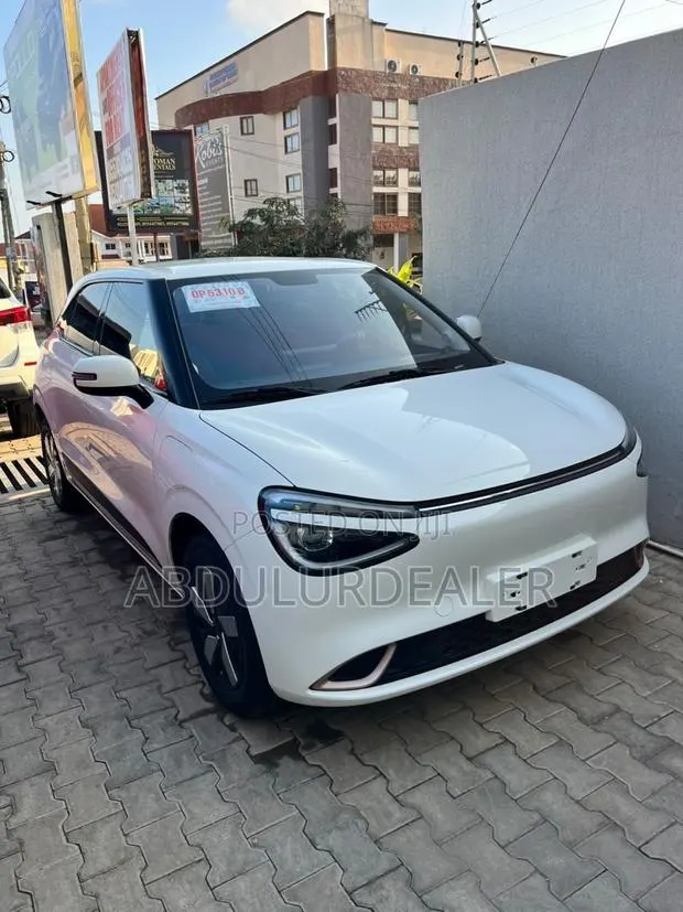 New Dongfeng Nammi Box 31.45 kWh FWD 2025 White · Photo 1