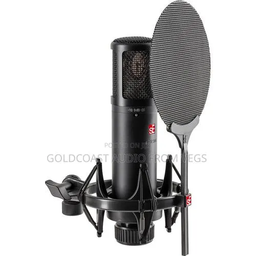 Se Electronics Se2300 Studio Condenser Microphone · Photo 1