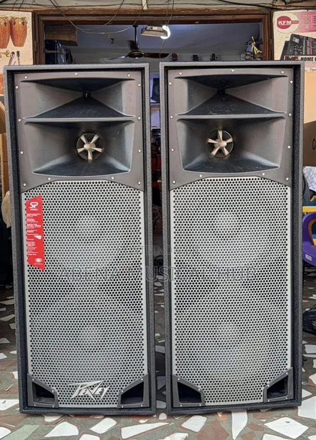 Peavey Full Range Speaker · Photo 1