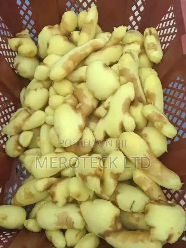 Multipurpose Stainless Steel Commercial Ginger and Potatoes Peeler · Photo 3