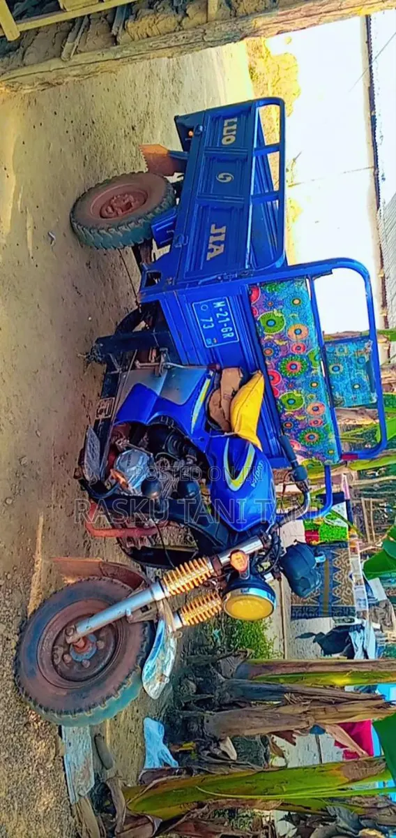 Tricycle 2020 Blue · Photo 1