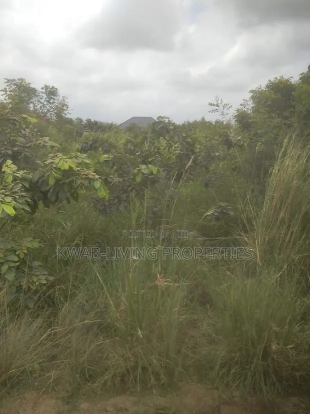Titled Land for Sale at Amrahia · Photo 1