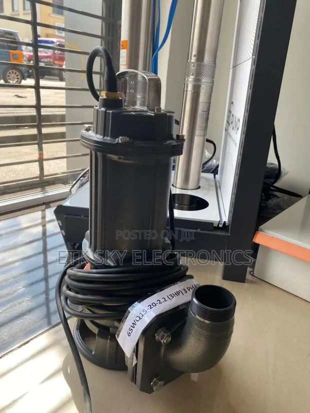 Leo Sewage Pump 65wq15-20-2.2(3hp) · Photo 1