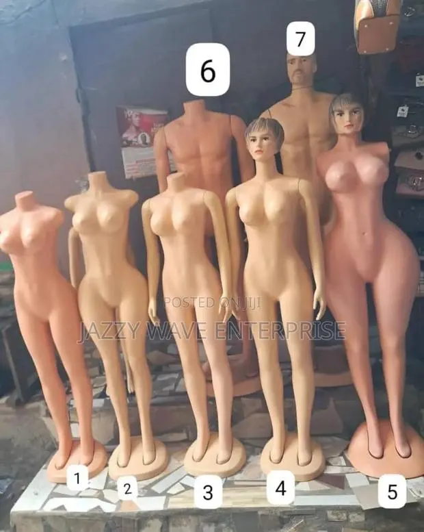 Manikin Different Types / Mannequins · Photo 1