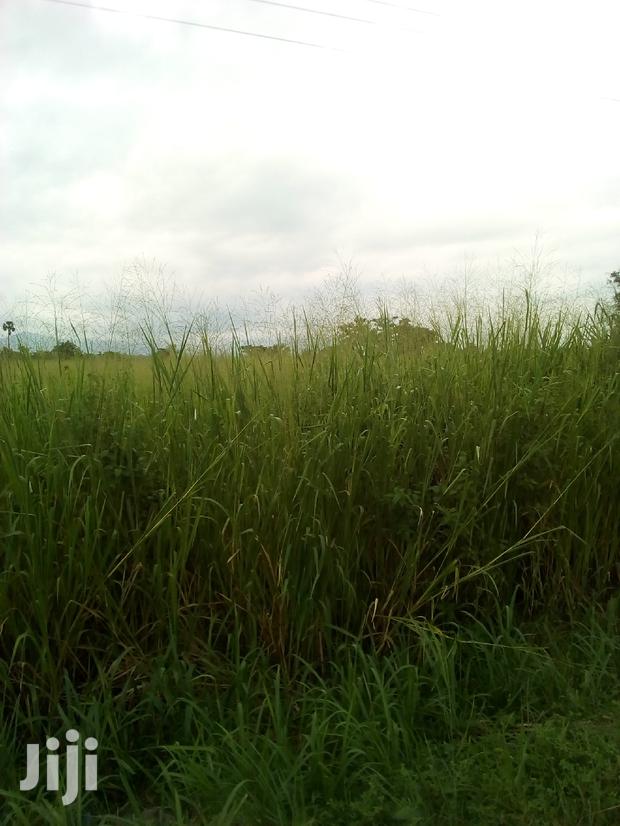500 Plots of Land for Sale · Photo 3