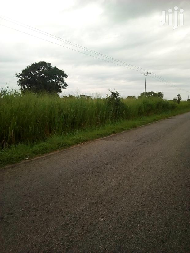 500 Plots of Land for Sale · Photo 2
