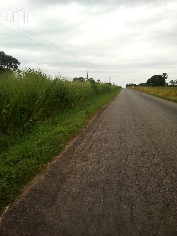 500 Plots of Land for Sale · Photo 4