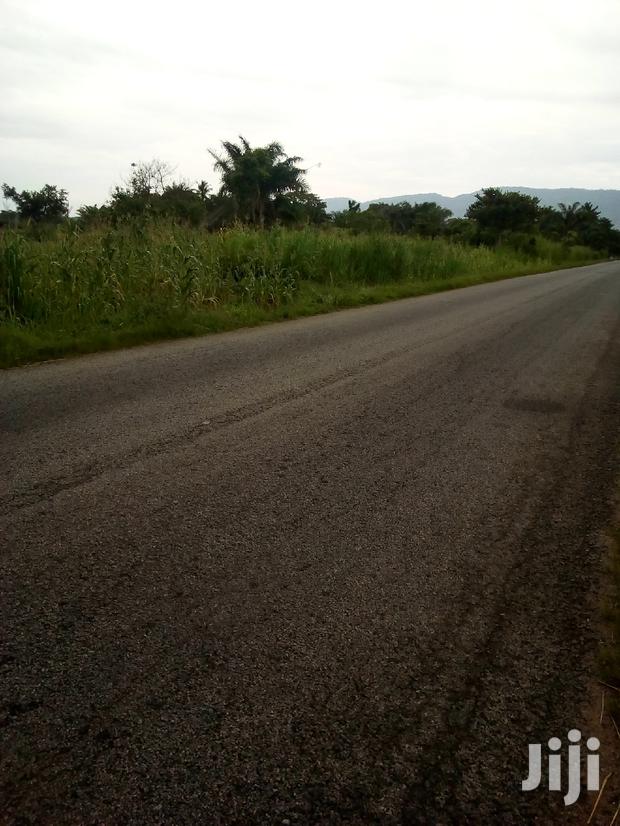 Plots of Land for Sale · Photo 3