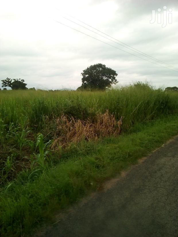 Plots of Land for Sale · Photo 2