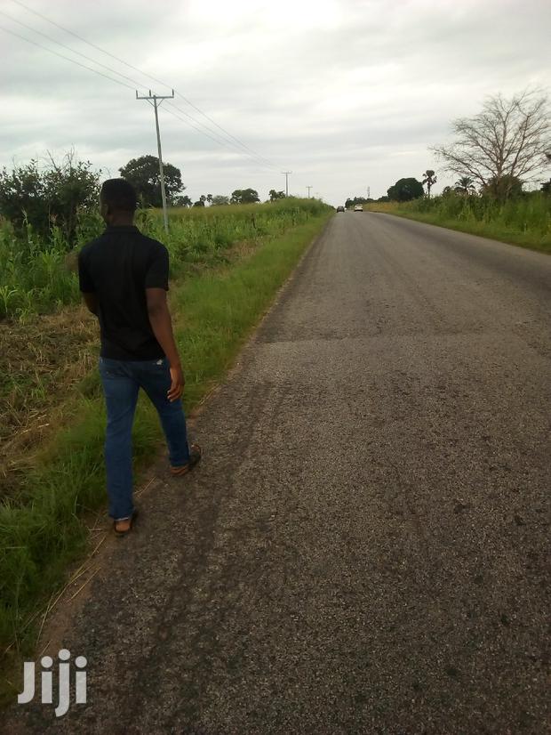 Plots of Land for Sale · Photo 4