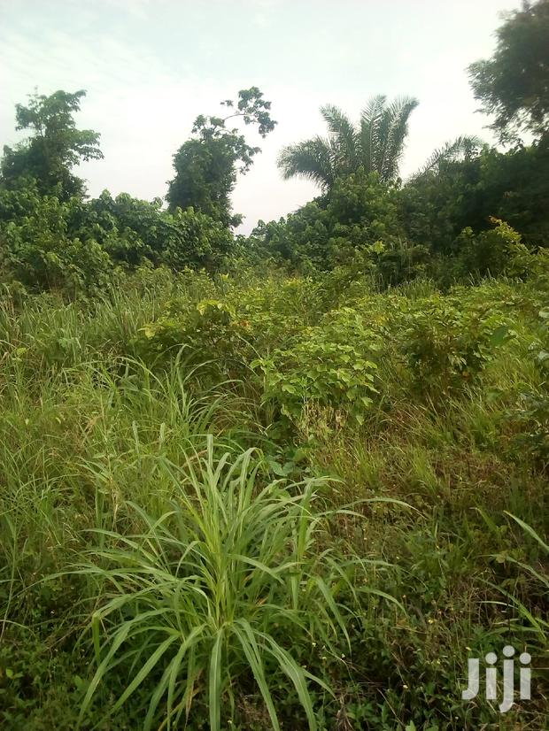 10.000 Acres Of Farm Land For Sale