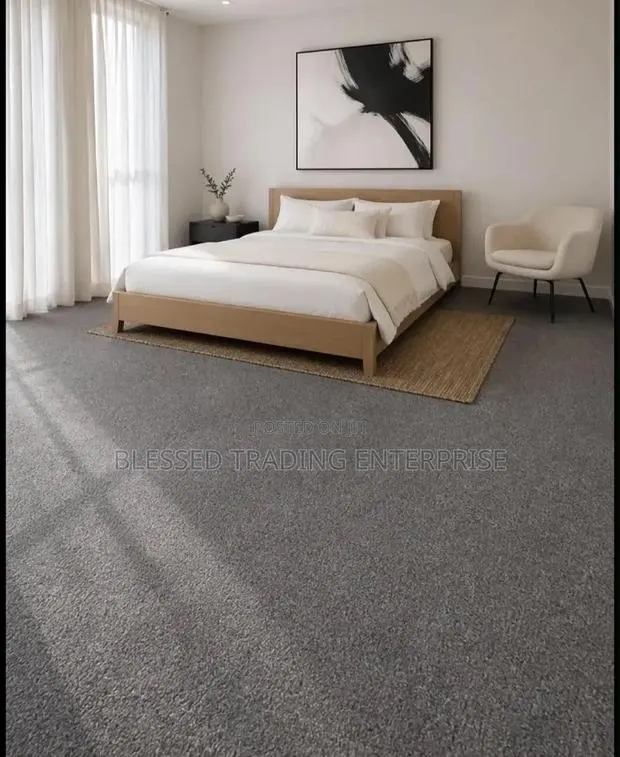 Gray Fluffy Woolen Carpet · Photo 1