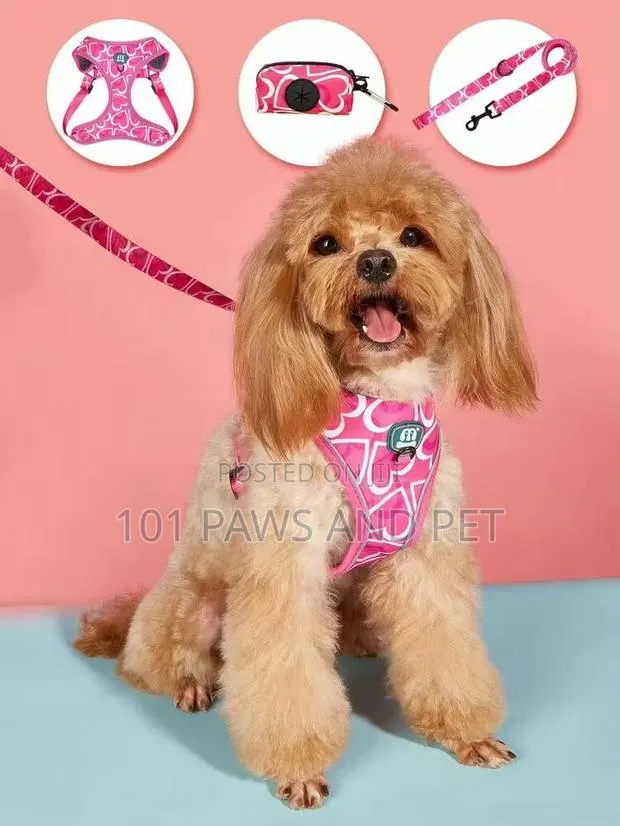 Midepet Harness · Photo 1