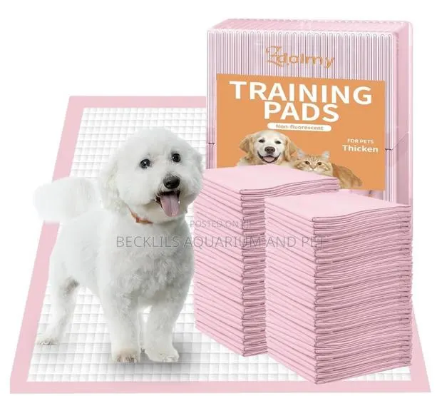 100 Pieces Dog Training Pee Pads · Photo 1