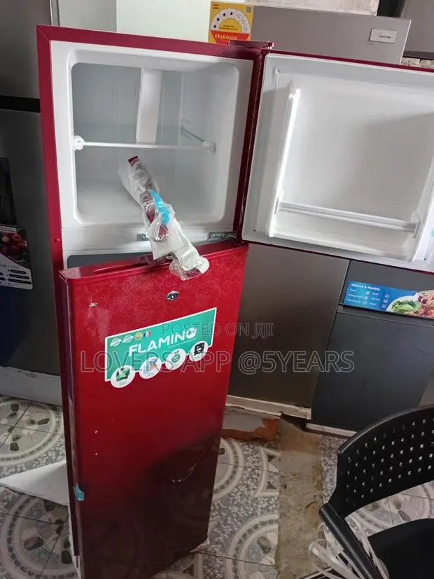 Upgrade Your Kitchen With Flamino Fridge · Photo 1