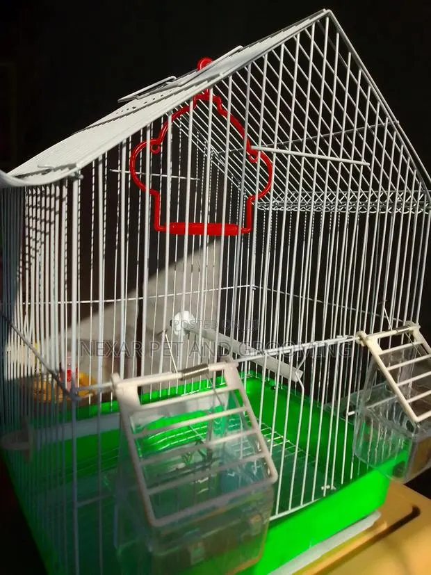 Bird Cage for Birds · Photo 1