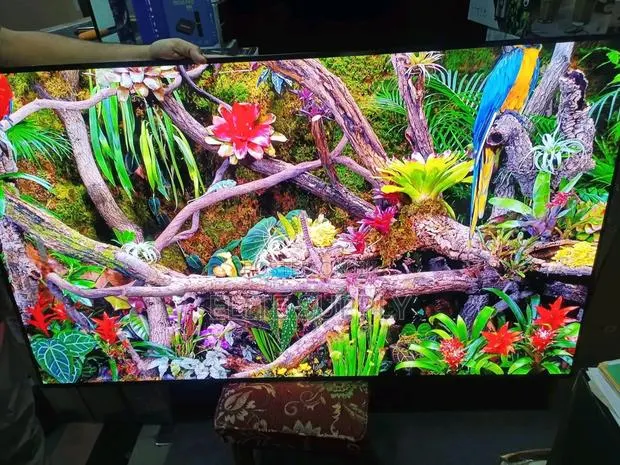 Samsung 55inches TV · Photo 1