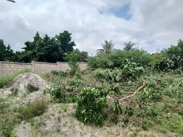 Adarko Jachie Full Plot of Land · Photo 1