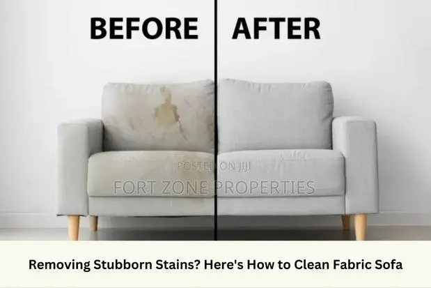 Stains and Spot Removal From Your Sofas,Chairs and Car Seat · Photo 1