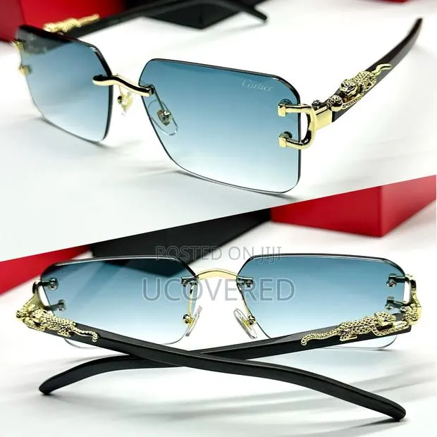 Cartier Rimless Sunglasses · Photo 1