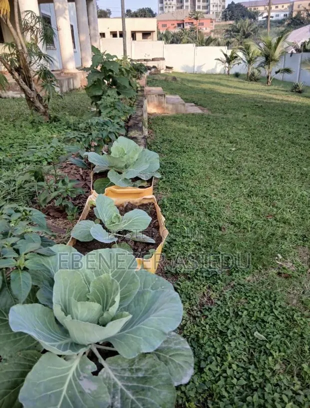 FarmNest GH-Backyard Container Farm Setup|Home Farming Solutions . · Photo 4