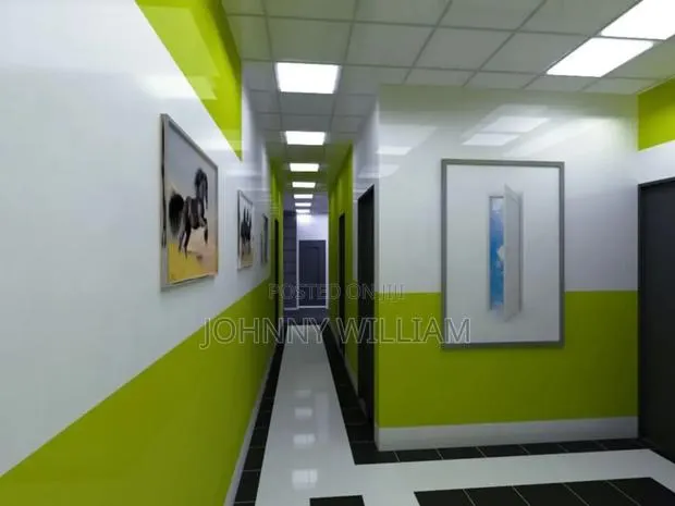 Mr Painter · Photo 1