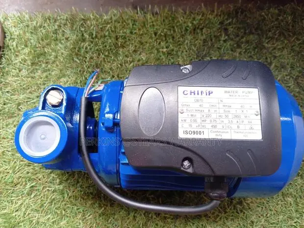 Chimp Water Pump 1.5hp Strong Pump · Photo 1