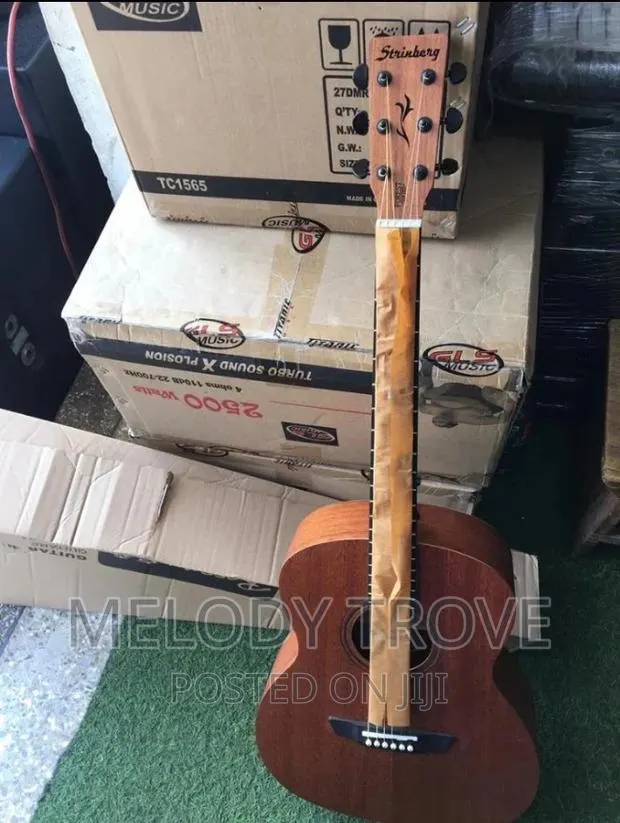 Strinberg Semi-Acoustic Guitar (Forest Series) · Photo 1