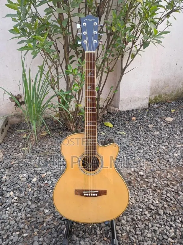 Martin Smith W401e-N Semi Acoustic Guitar · Photo 1